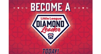 Diamond Leader Training