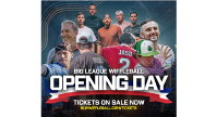 Big League Wiffle Ball